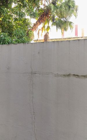 Casa à venda com 858m², 4 quartos e 4 vagasVista do Quarto 3
