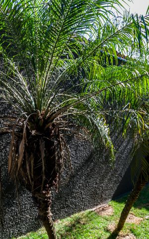 Casa de condomínio à venda com 209m², 3 quartos e 2 vagas Casa de condomínio à venda com 209m², 3 quartos e 2 vagasQuarto 1