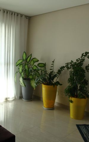 Apartamento à venda com 80m², 2 quartos e 2 vagasSala