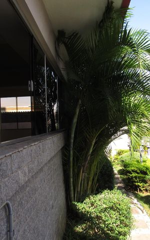 Apartamento à venda com 80m², 3 quartos e 2 vagasÁrea comum