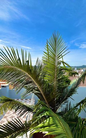 Casa à venda com 290m², 3 quartos e 3 vagasÁrea comum - Pátio