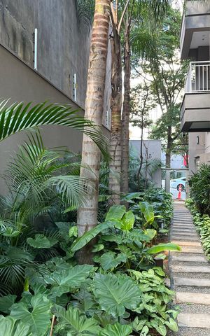 Studio para alugar com 26m², 1 quarto e sem vaga Studio para alugar com 26m², 1 quarto e sem vagaÁrea comum - Área Externa