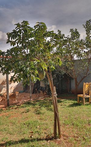 Casa para alugar com 160m², 3 quartos e 2 vagasQuintal