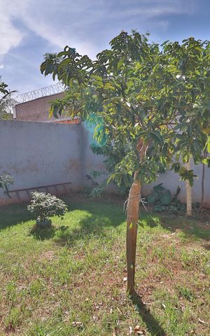 Casa para alugar com 160m², 3 quartos e 2 vagasQuintal