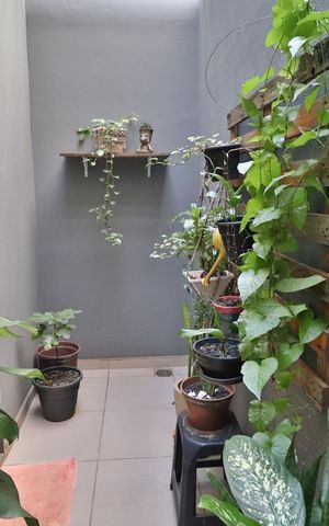 Casa para alugar com 160m², 3 quartos e 2 vagasJardim de Inverno