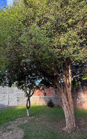 Casa à venda com 128m², 2 quartos e 2 vagasQuintal