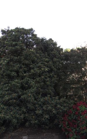 Apartamento à venda com 82m², 2 quartos e 2 vagasVista da  Suíte