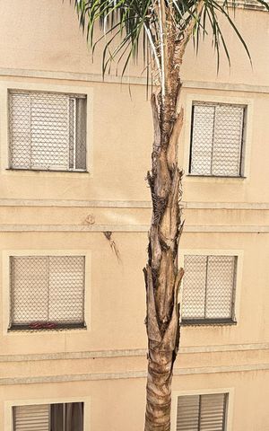 Apartamento para alugar com 46m², 2 quartos e 1 vaga Apartamento para alugar com 46m², 2 quartos e 1 vagaQuarto 1 Vista