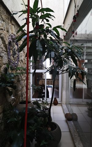 Casa à venda com 300m², 4 quartos e 3 vagasjardim de inverno