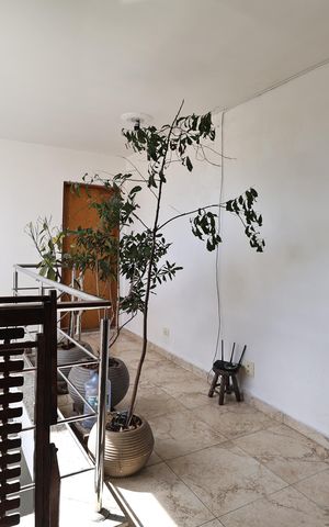 Casa à venda com 300m², 4 quartos e 3 vagasCobertura