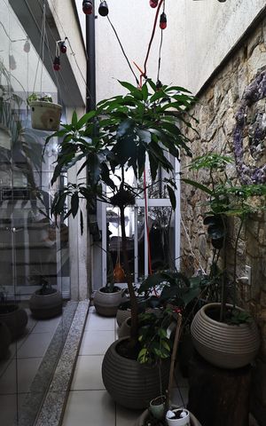 Casa à venda com 300m², 4 quartos e 3 vagasjardim de inverno