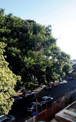 Apartamento à venda com 69m², 2 quartos e 2 vagasQuarto 2 Vista