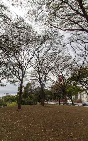 Apartamento à venda com 77m², 2 quartos e 1 vagaVista da Rua
