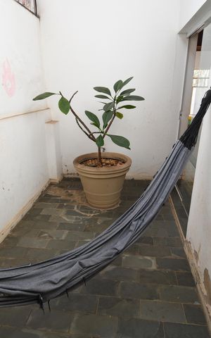 Casa à venda com 150m², 3 quartos e 2 vagasVaranda - Jardim de Inverno