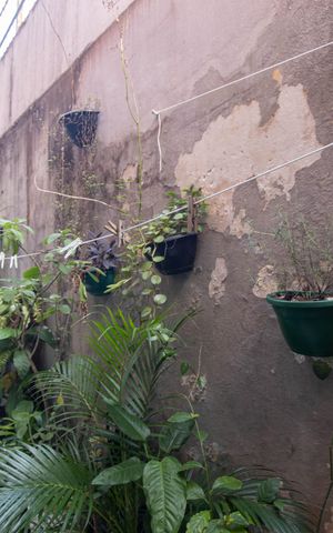Casa à venda com 132m², 4 quartos e 2 vagas Casa à venda com 132m², 4 quartos e 2 vagasQuintal