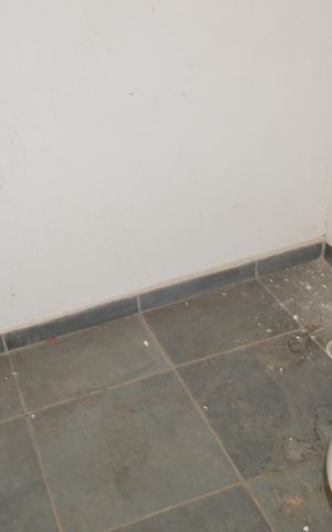 Casa à venda com 183m², 3 quartos e 2 vagasBanheiro da Edícula