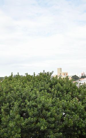 Apartamento à venda com 55m², 2 quartos e 2 vagas Apartamento à venda com 55m², 2 quartos e 2 vagasSacada
