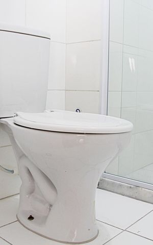 Apartamento à venda com 47m², 2 quartos e 1 vagaBanheiro Social
