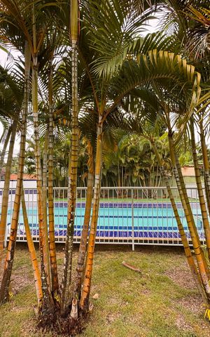 Apartamento à venda com 82m², 3 quartos e 1 vaga