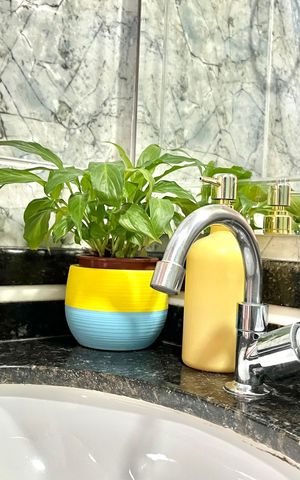 Apartamento para alugar com 51m², 2 quartos e 1 vaga Apartamento para alugar com 51m², 2 quartos e 1 vagaBanheiro