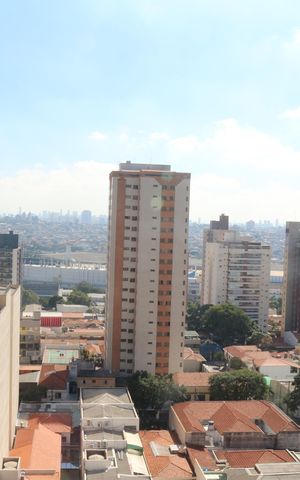Apartamento à venda com 255m², 4 quartos e 3 vagasVista