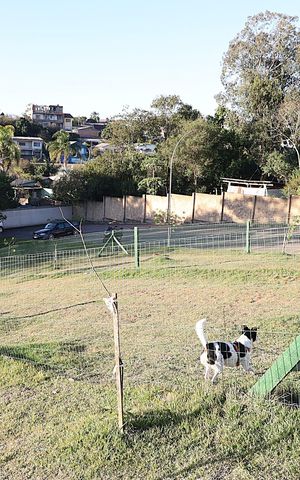 Apartamento para alugar com 55m², 2 quartos e 1 vagaÁrea comum - Espaço Pet