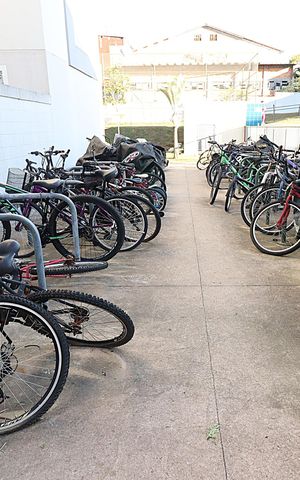 Apartamento para alugar com 55m², 2 quartos e 1 vagaÁrea comum - Bicicletários