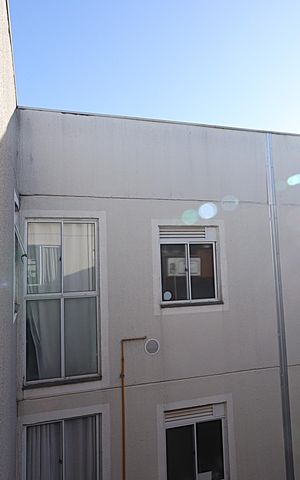 Apartamento para alugar com 55m², 2 quartos e 1 vagaVista da Janela da Sala