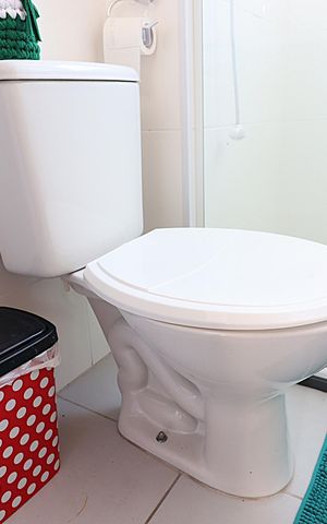Apartamento para alugar com 55m², 2 quartos e 1 vagaBanheiro