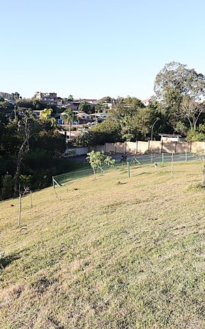Apartamento para alugar com 55m², 2 quartos e 1 vagaÁrea comum - Espaço Pet