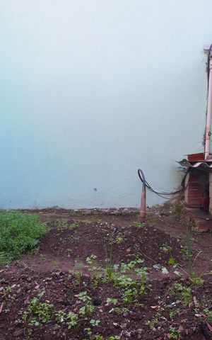 Casa à venda com 180m², 3 quartos e 3 vagasQuintal