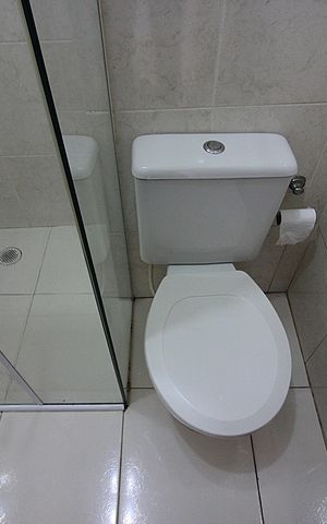 Apartamento para alugar com 48m², 1 quarto e 1 vagaBanheiro Social