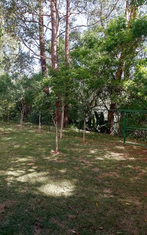 Apartamento para alugar com 52m², 2 quartos e 1 vagaÁrea comum