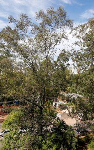 Apartamento para alugar com 52m², 2 quartos e 1 vagaVista do Quarto