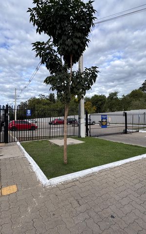 Apartamento para alugar com 50m², 2 quartos e 1 vaga Apartamento para alugar com 50m², 2 quartos e 1 vagaPlaca
