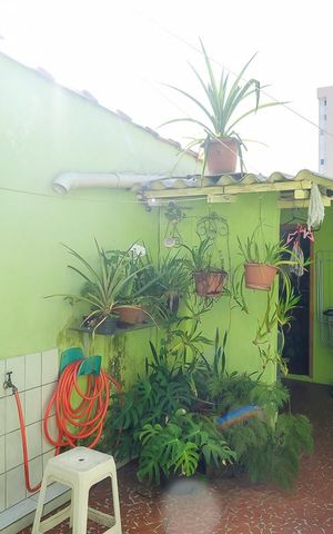 Casa à venda com 102m², 3 quartos e 2 vagasQuintal