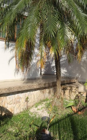 Casa à venda com 423m², 3 quartos e 6 vagasÁrea comum