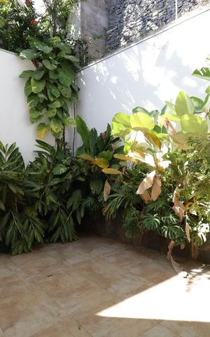 Casa à venda com 351m², 3 quartos e 3 vagasQuintal