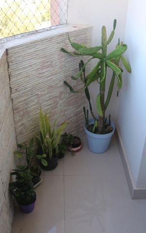 Apartamento para alugar com 113m², 3 quartos e 1 vagaSacada