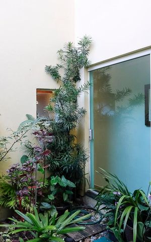 Casa à venda com 235m², 3 quartos e 4 vagasÁrea comum
