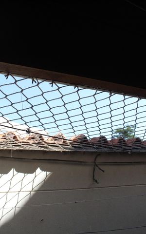 Casa de condomínio para alugar com 95m², 2 quartos e 2 vagasQuintal
