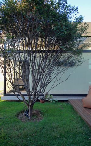 Casa de condomínio à venda com 500m², 3 quartos e 4 vagasJardim interno