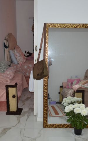 Apartamento à venda com 45m², 1 quarto e sem vagaSala