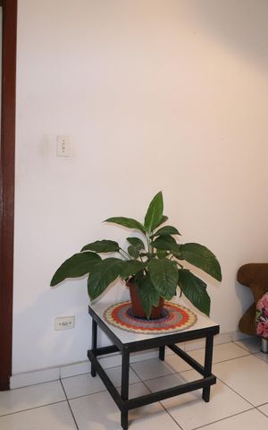 Casa à venda com 150m², 3 quartos e 1 vagaQuarto 2 suíte