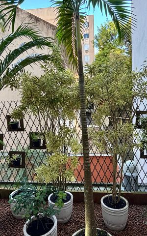 Apartamento à venda com 287m², 4 quartos e 2 vagas Apartamento à venda com 287m², 4 quartos e 2 vagasÁrea comum interna