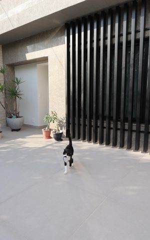 Casa à venda com 300m², 3 quartos e 2 vagasVaranda
