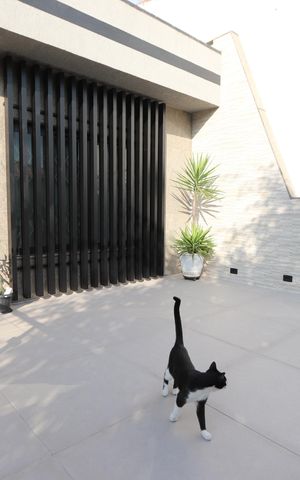 Casa à venda com 300m², 3 quartos e 2 vagasVaranda