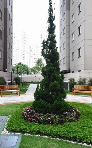 Apartamento à venda com 57m², 2 quartos e 1 vaga Apartamento à venda com 57m², 2 quartos e 1 vagaJardim