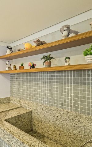 Apartamento para alugar com 33m², 2 quartos e sem vaga Apartamento para alugar com 33m², 2 quartos e sem vagaÁrea comum