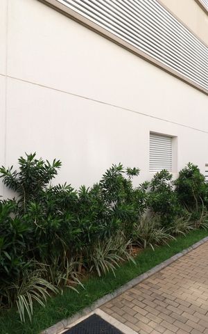 Apartamento à venda com 62m², 3 quartos e 1 vagaÁrea comum